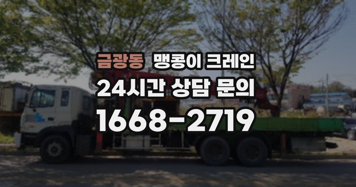 금광동 맹콩이 크레인