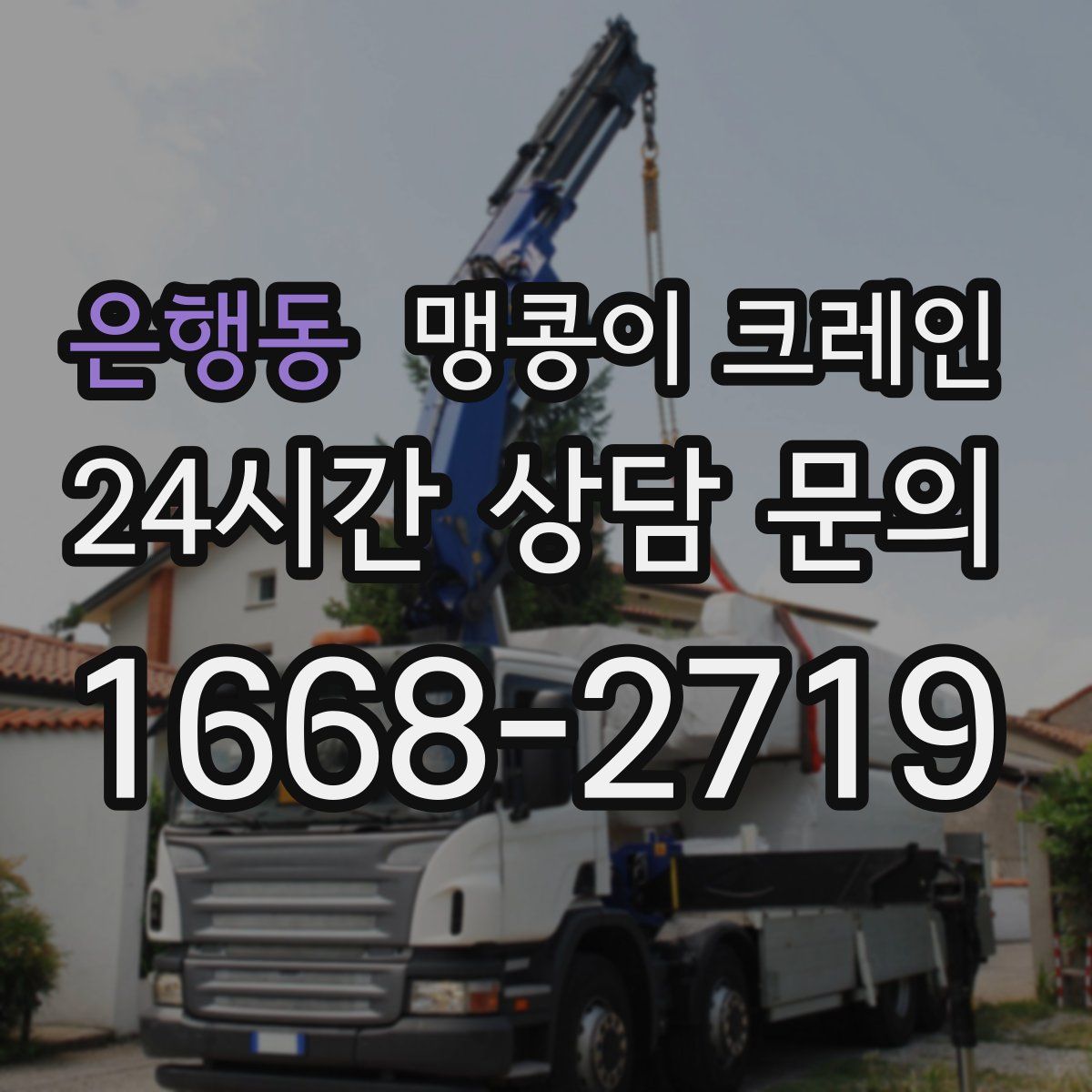 은행동 맹콩이 크레인