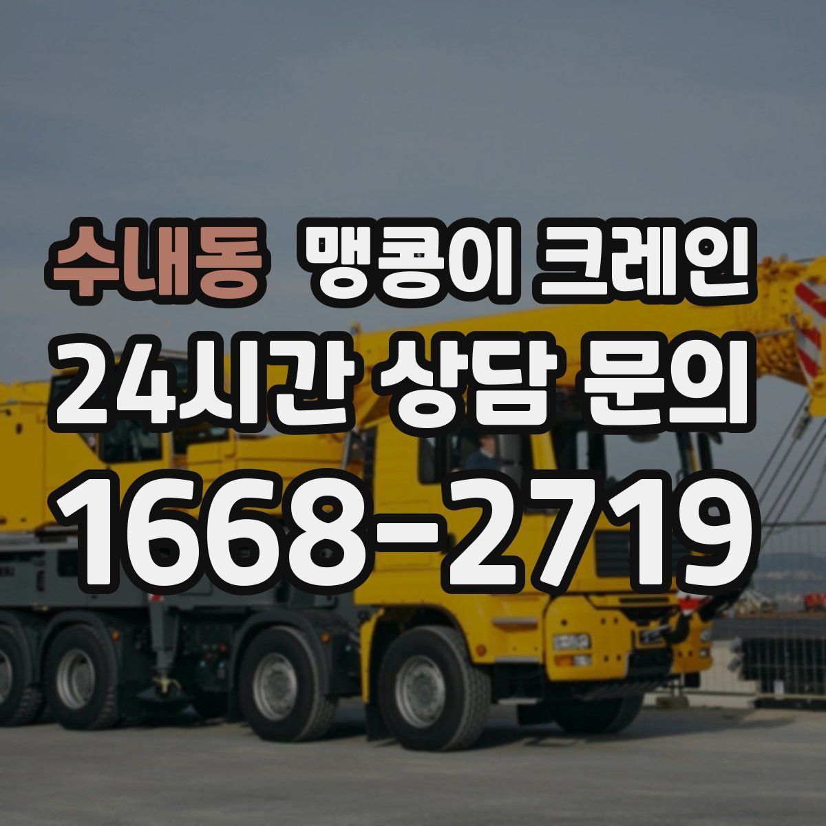 수내동 맹콩이 크레인