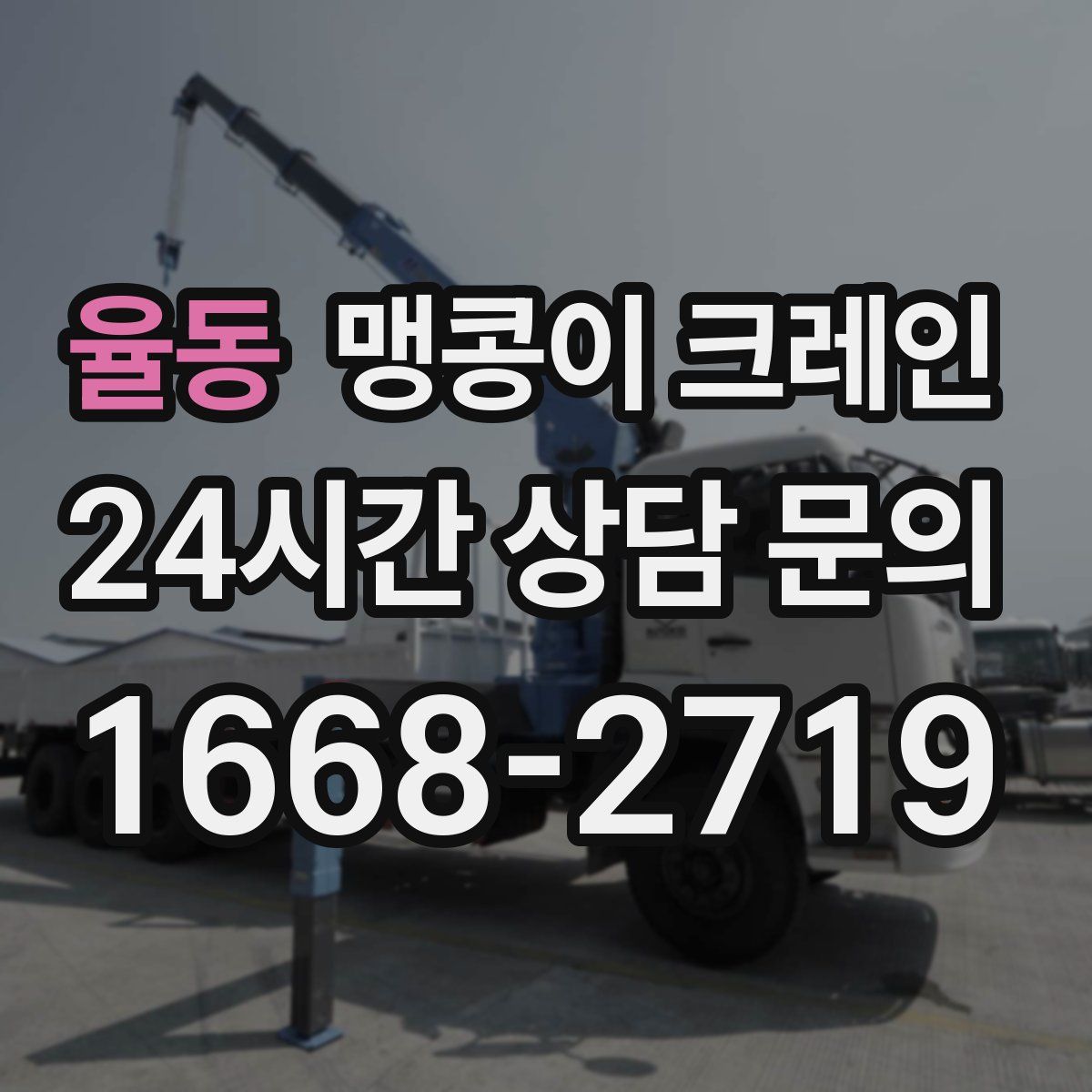 율동 맹콩이 크레인
