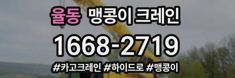 율동 맹콩이 크레인