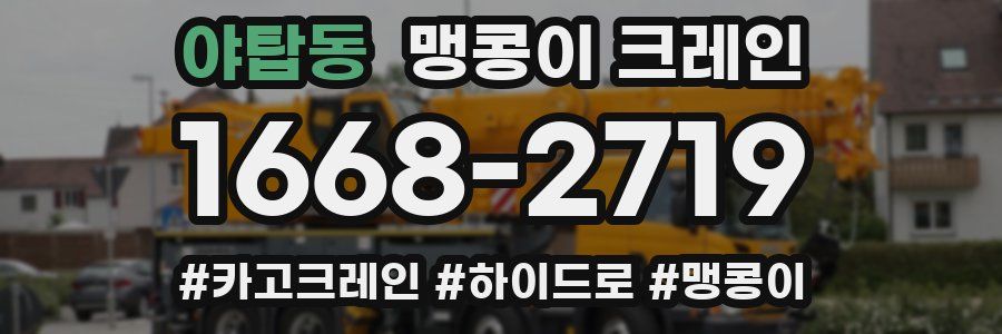 야탑동 맹콩이 크레인
