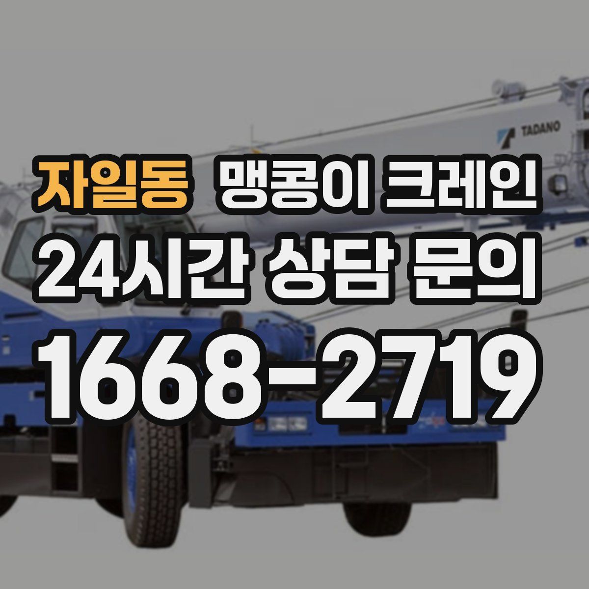 자일동 맹콩이 크레인