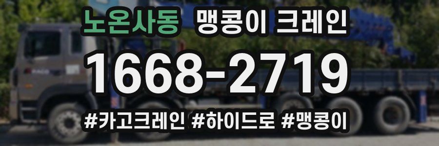 노온사동 맹콩이 크레인