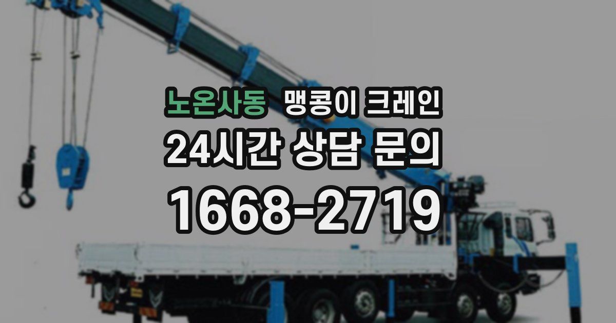 노온사동 맹콩이 크레인
