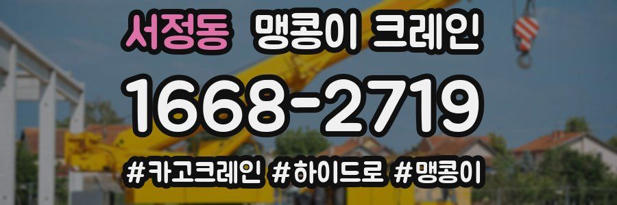서정동 맹콩이 크레인