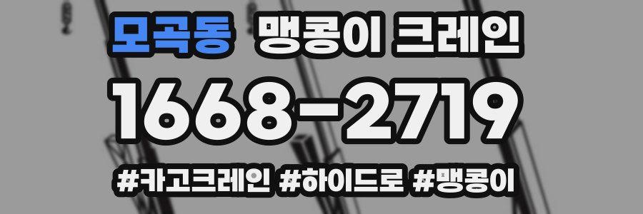 모곡동 맹콩이 크레인