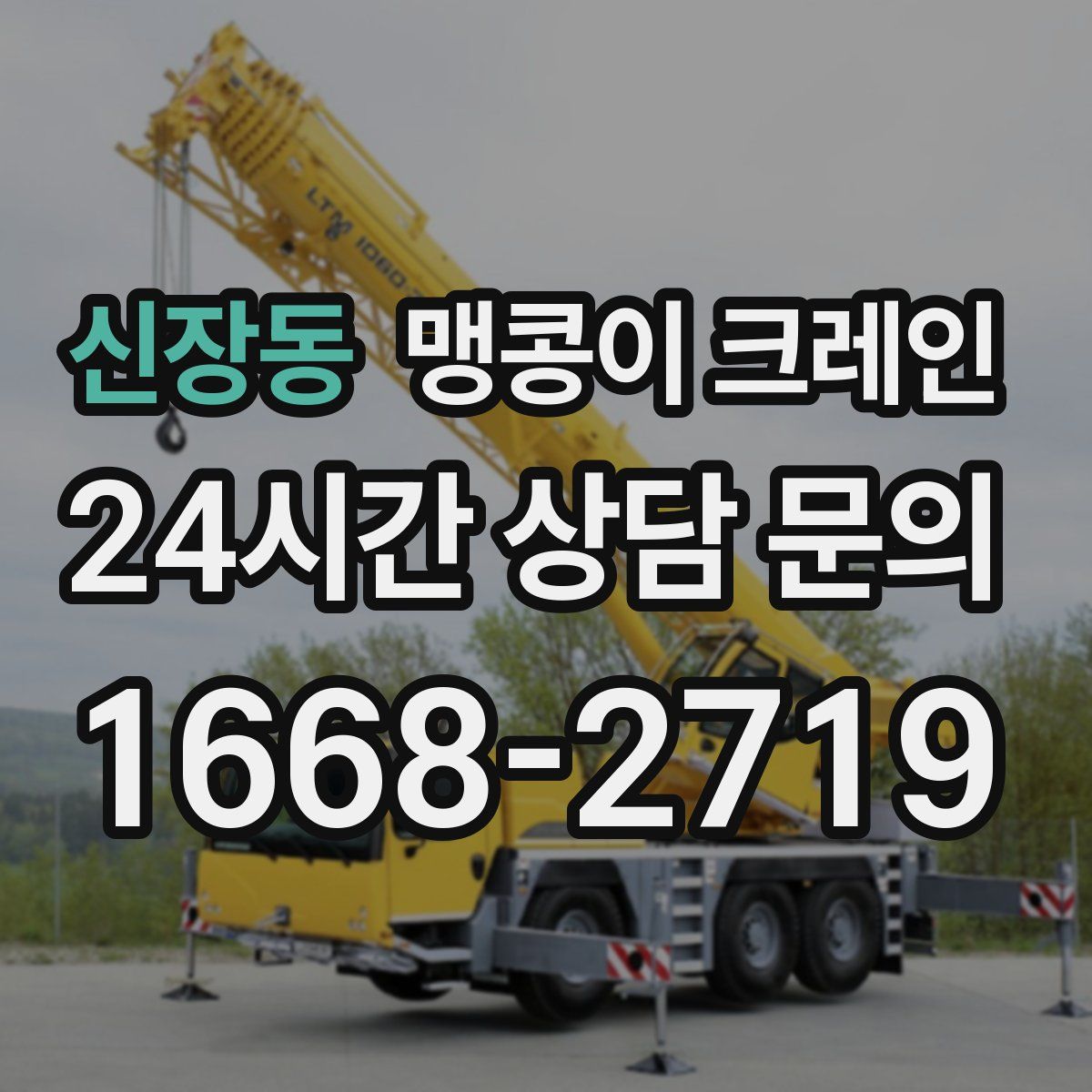 신장동 맹콩이 크레인