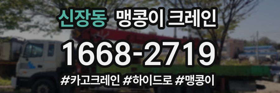 신장동 맹콩이 크레인