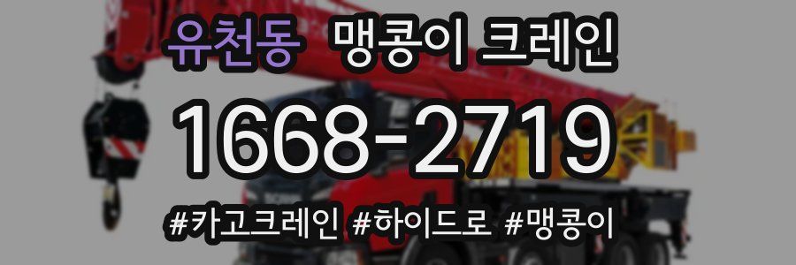 유천동 맹콩이 크레인
