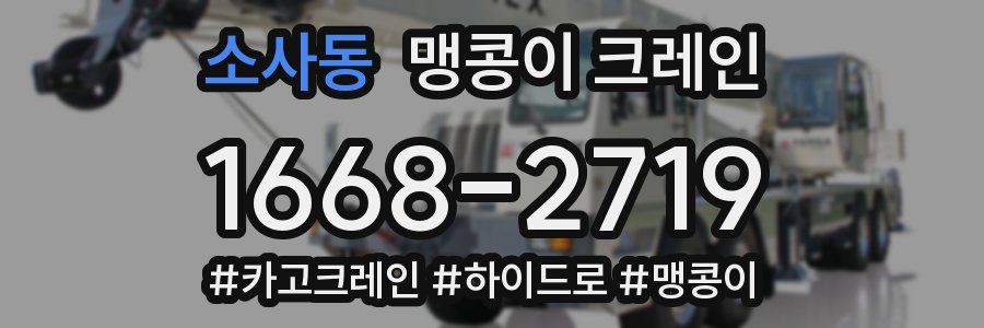 소사동 맹콩이 크레인