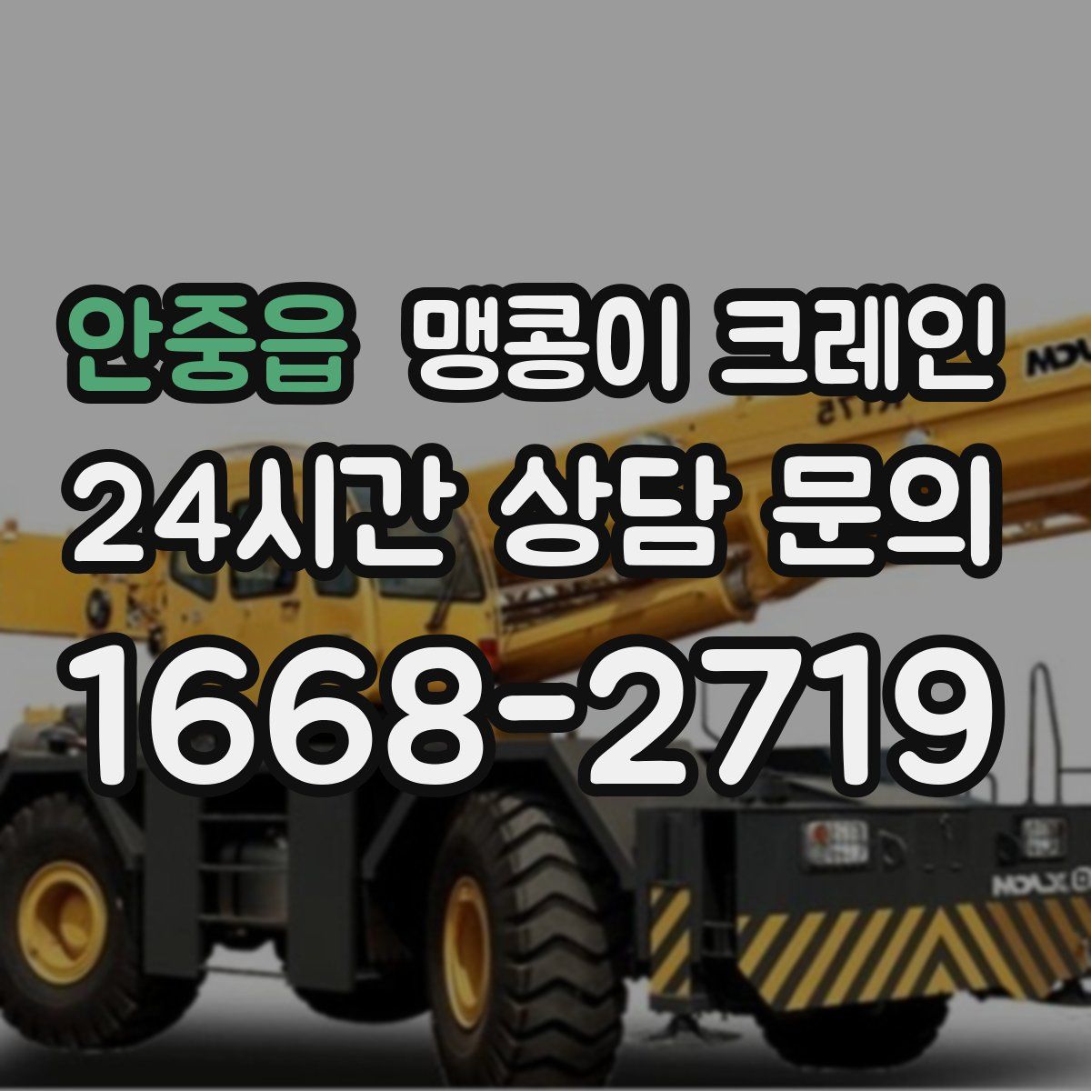 안중읍 맹콩이 크레인