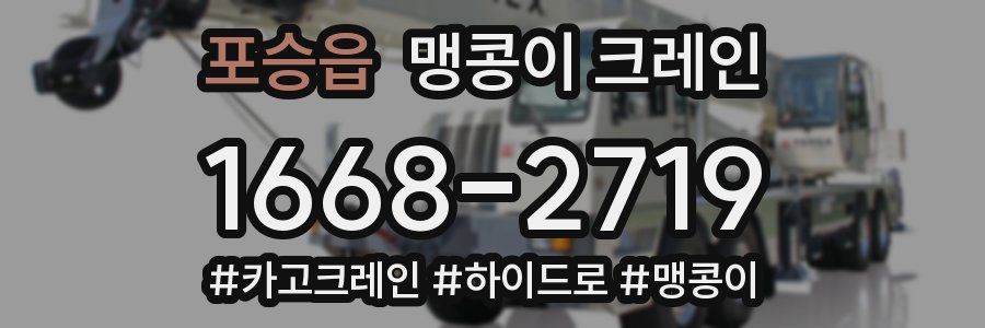 포승읍 맹콩이 크레인