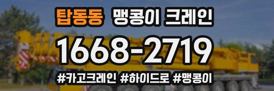 탑동동 맹콩이 크레인