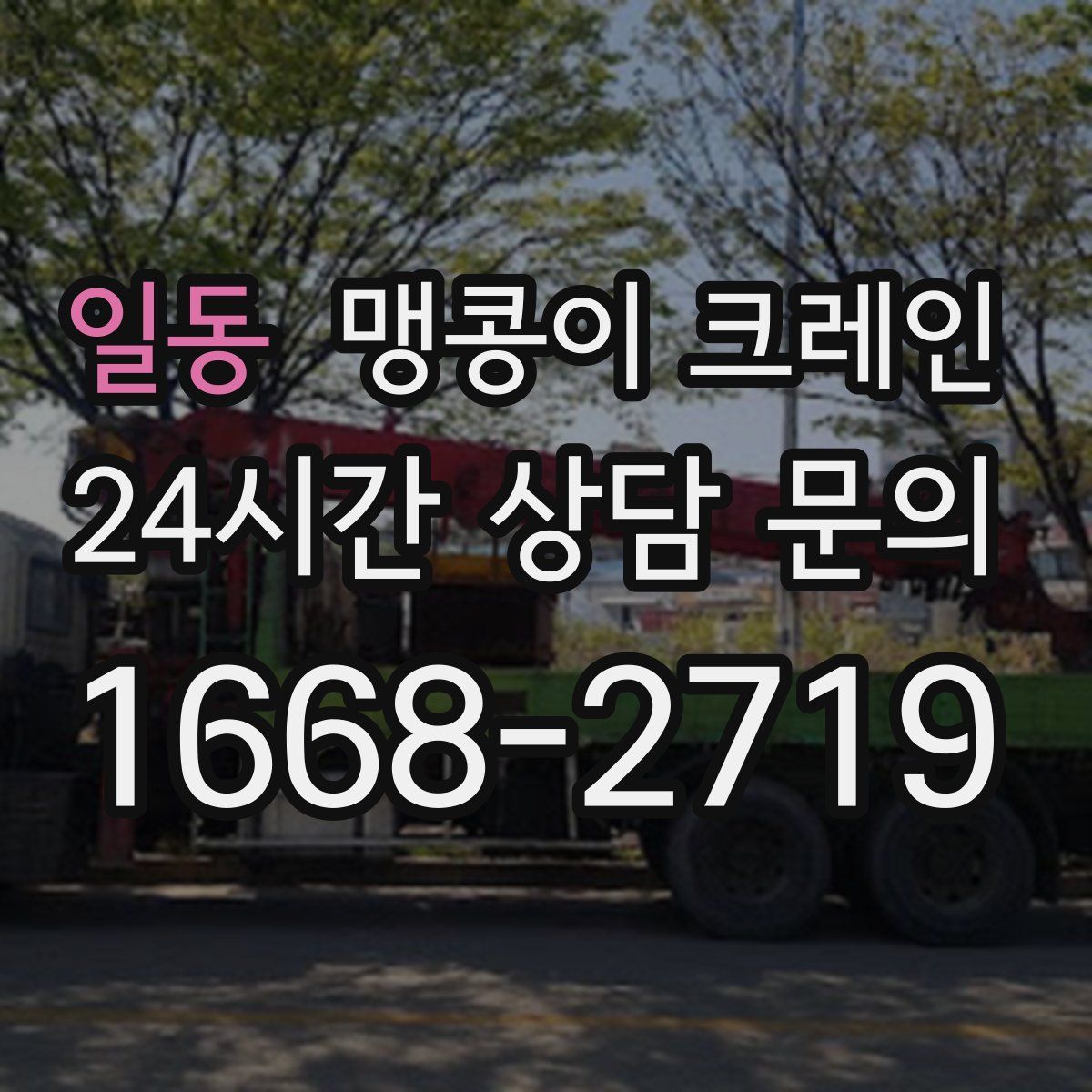 일동 맹콩이 크레인