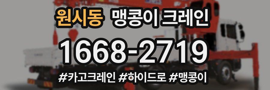 원시동 맹콩이 크레인