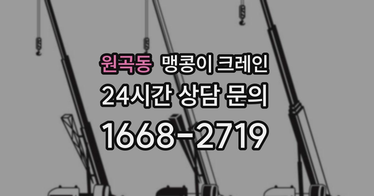 원곡동 맹콩이 크레인