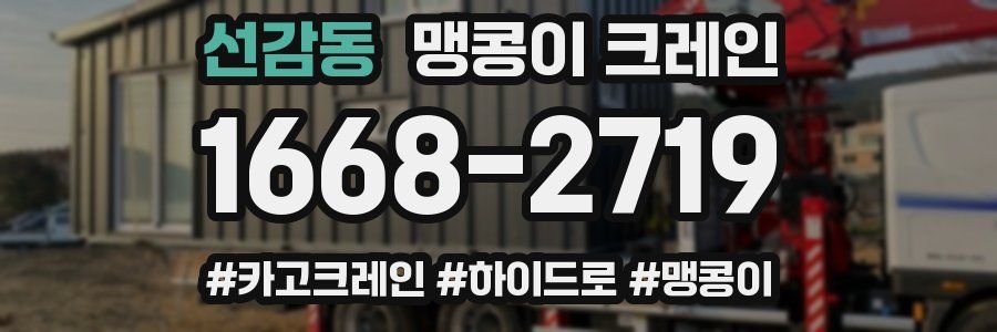 선감동 맹콩이 크레인