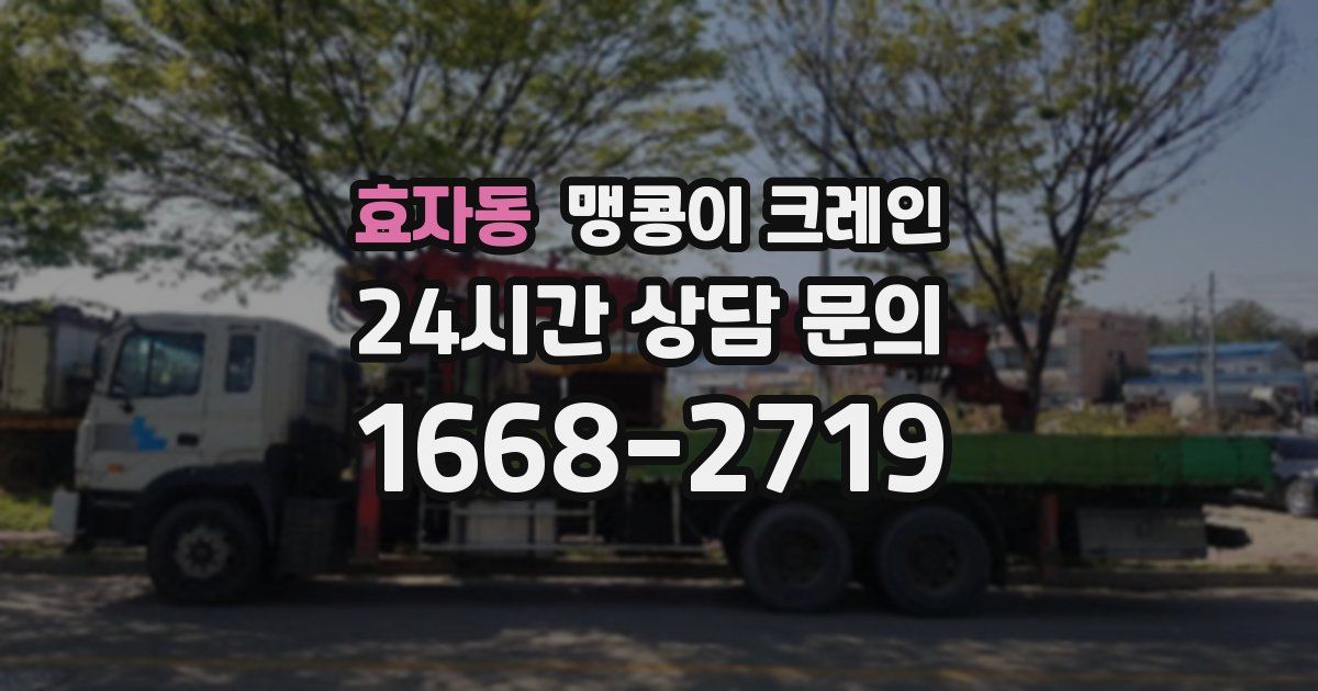 효자동 맹콩이 크레인