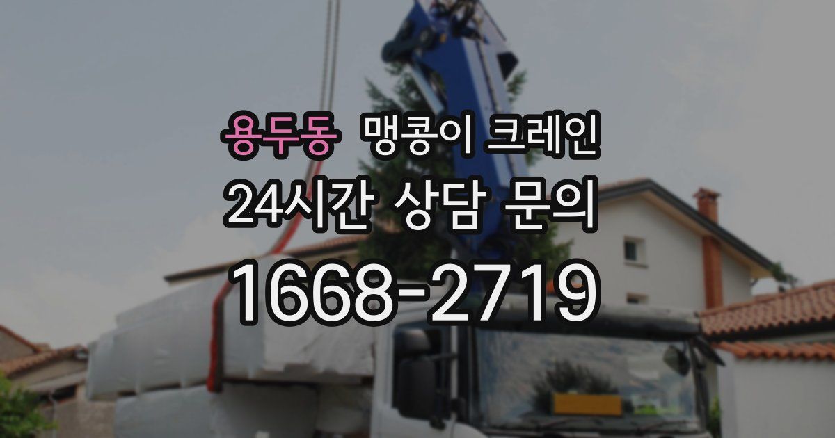 용두동 맹콩이 크레인