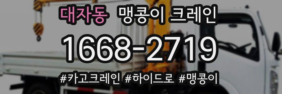 대자동 맹콩이 크레인