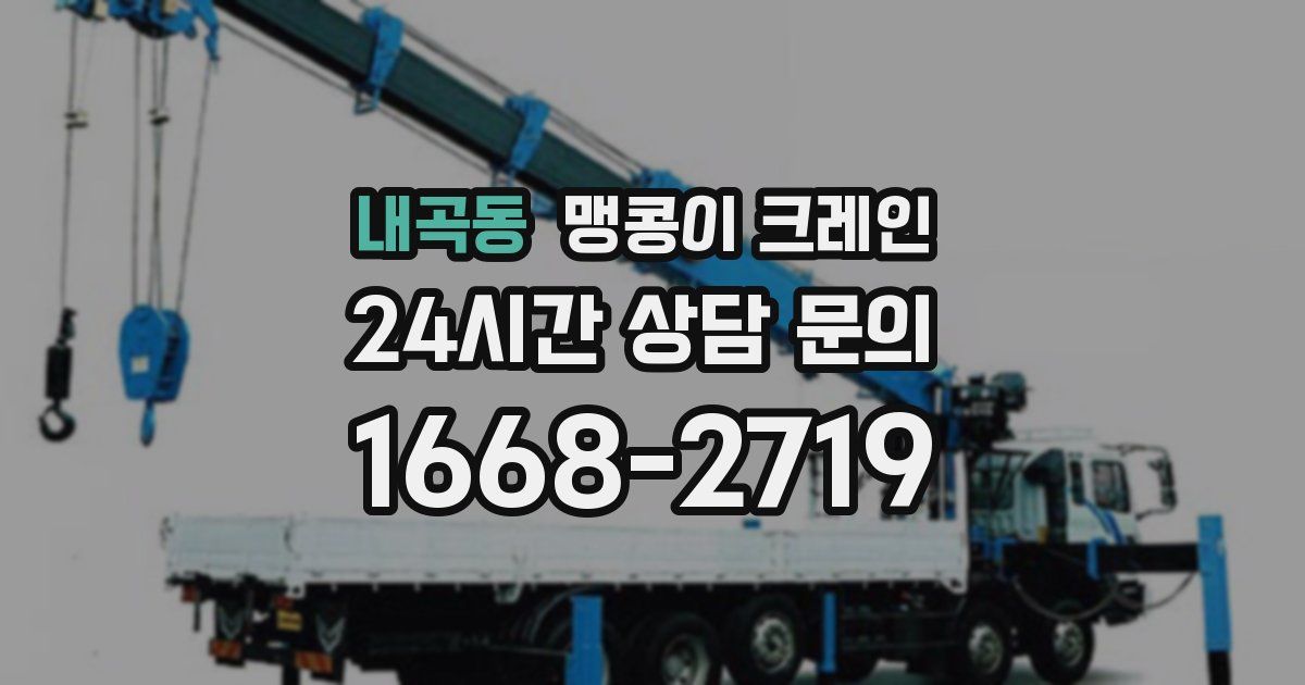 내곡동 맹콩이 크레인