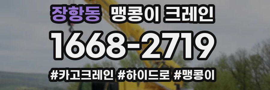 장항동 맹콩이 크레인
