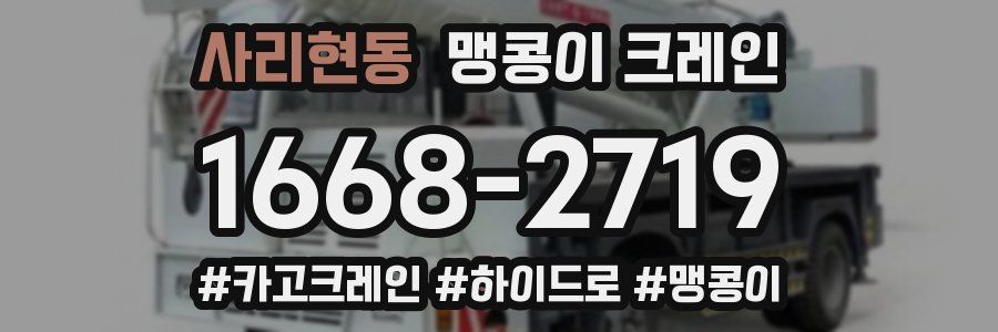 사리현동 맹콩이 크레인