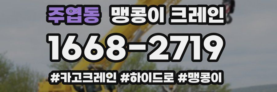 주엽동 맹콩이 크레인