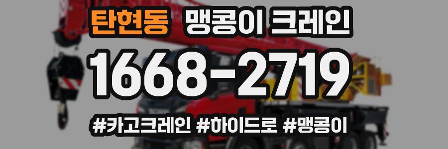 탄현동 맹콩이 크레인