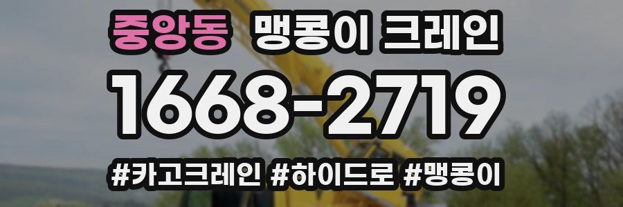 중앙동 맹콩이 크레인
