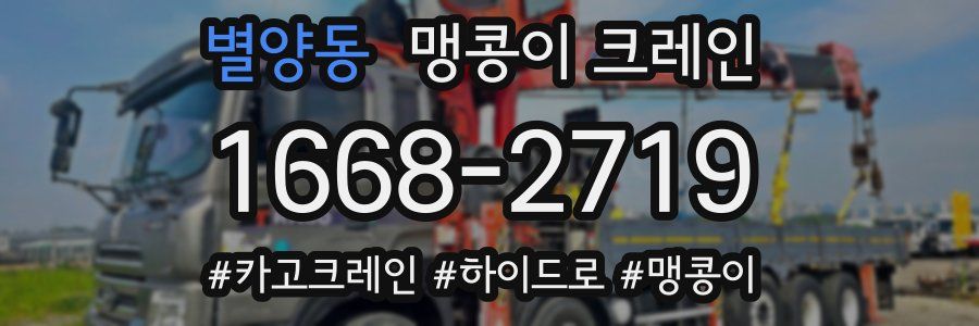 별양동 맹콩이 크레인