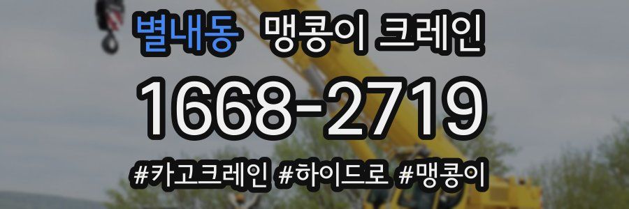 별내동 맹콩이 크레인