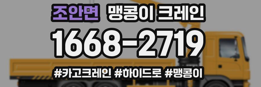 조안면 맹콩이 크레인