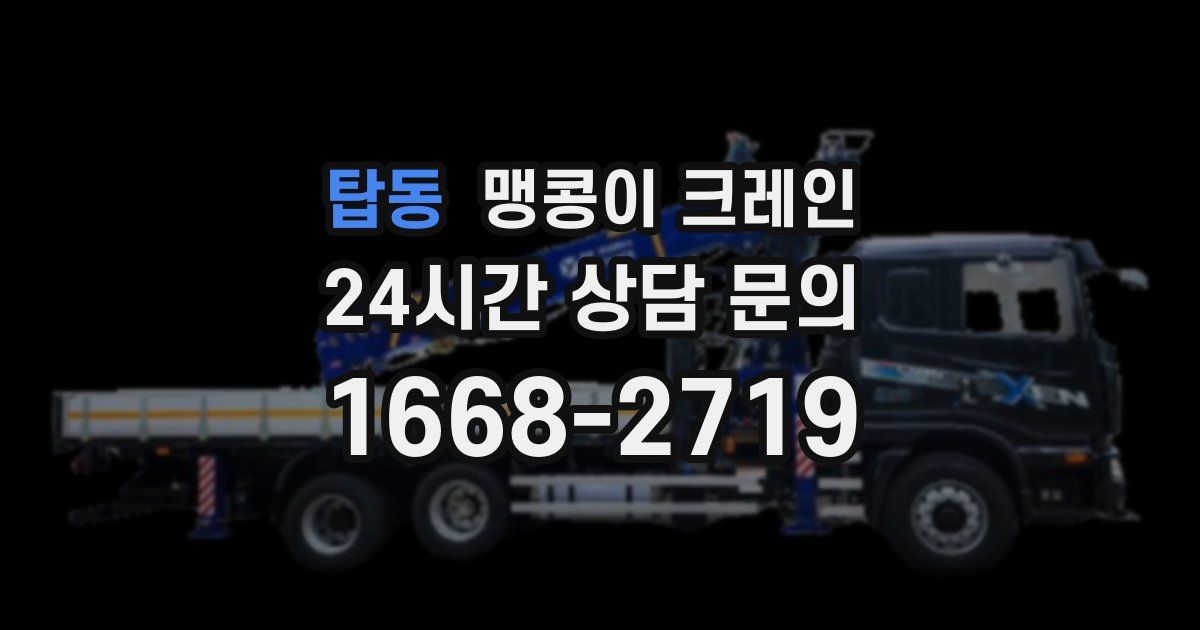 탑동 맹콩이 크레인