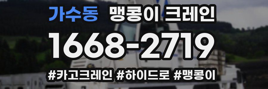 가수동 맹콩이 크레인