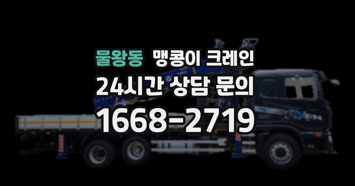 물왕동 맹콩이 크레인