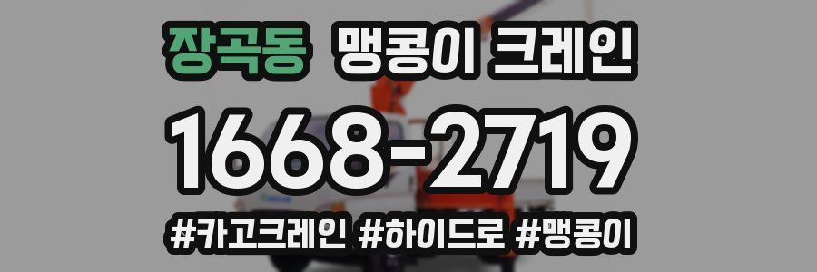 장곡동 맹콩이 크레인