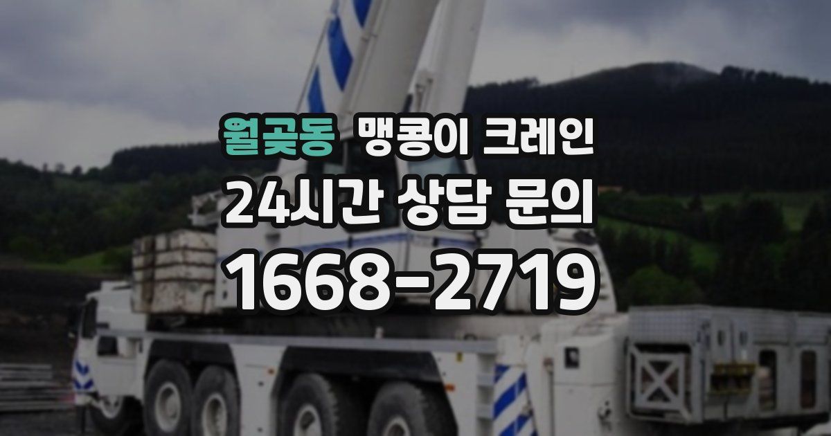 월곶동 맹콩이 크레인
