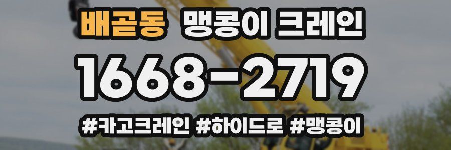 배곧동 맹콩이 크레인