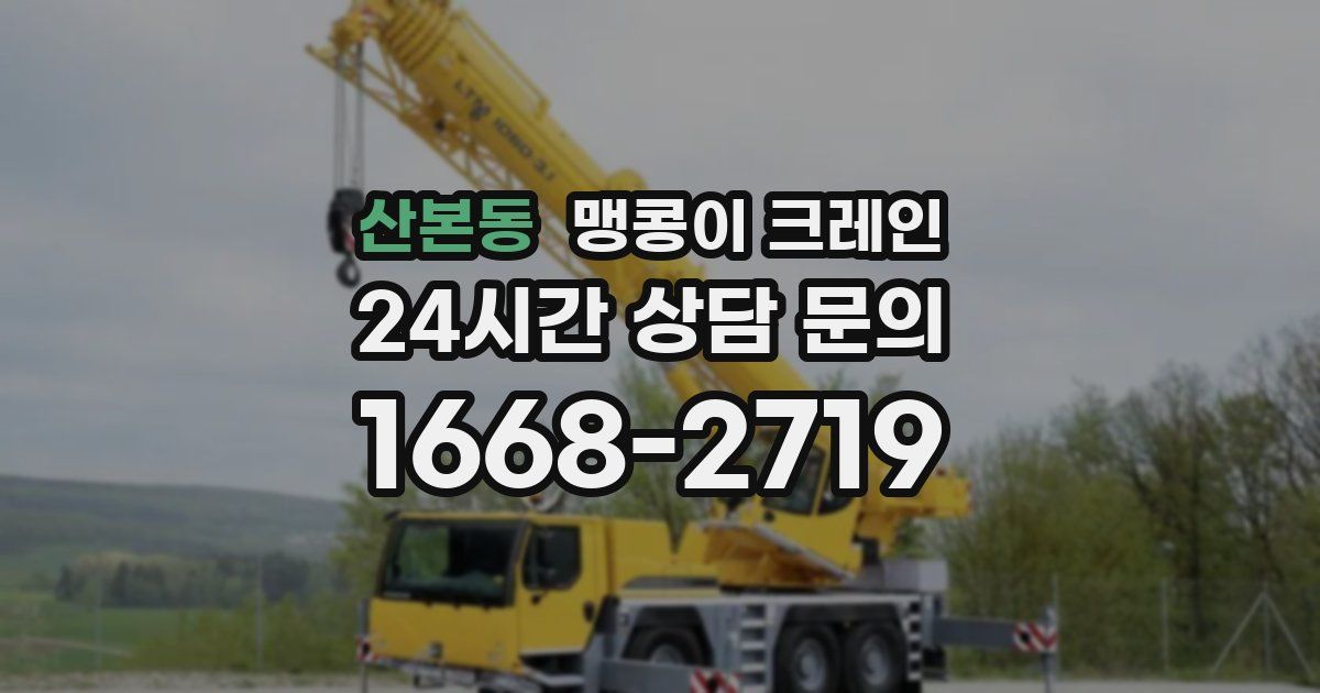 산본동 맹콩이 크레인