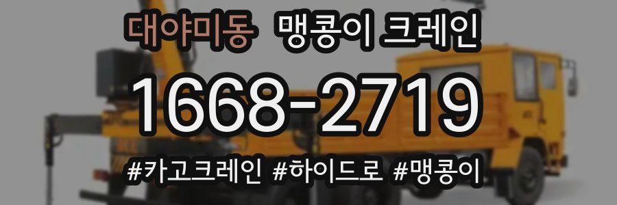 대야미동 맹콩이 크레인