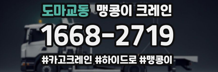 도마교동 맹콩이 크레인