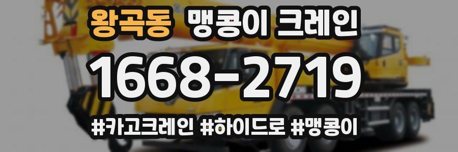 왕곡동 맹콩이 크레인