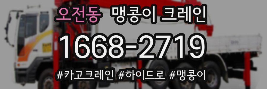 오전동 맹콩이 크레인