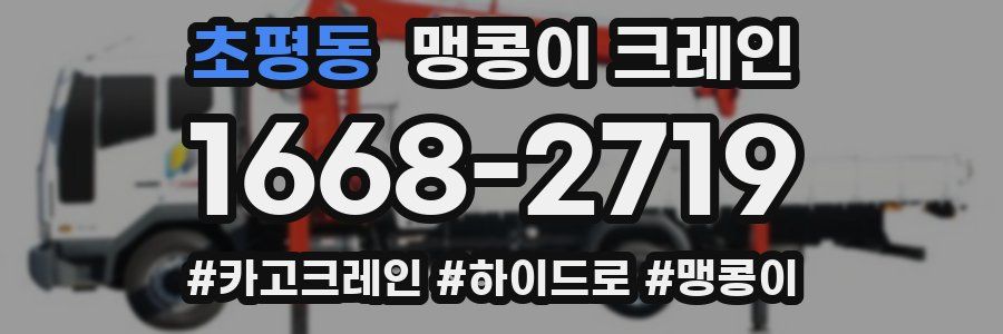 초평동 맹콩이 크레인