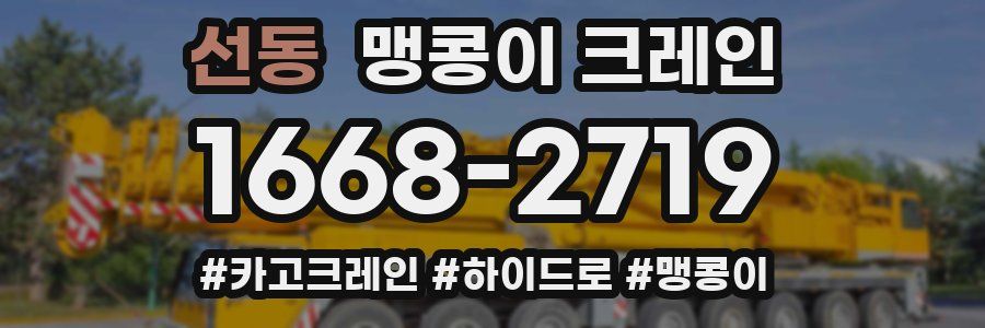 선동 맹콩이 크레인