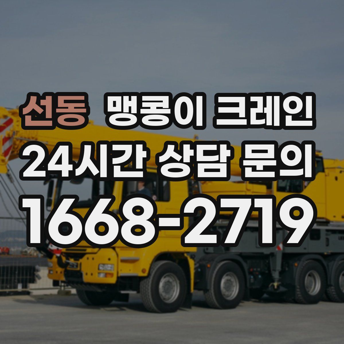 선동 맹콩이 크레인