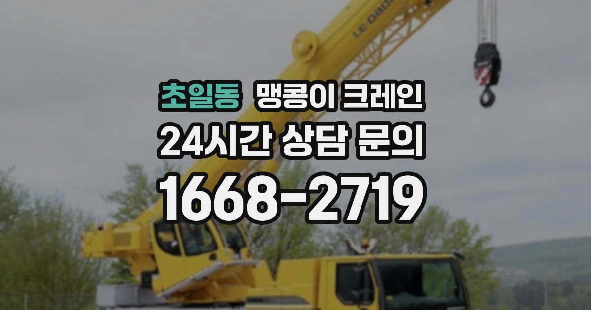 초일동 맹콩이 크레인