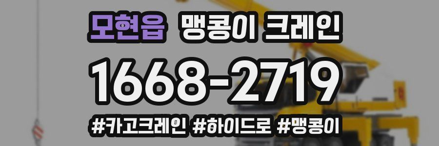 모현읍 맹콩이 크레인